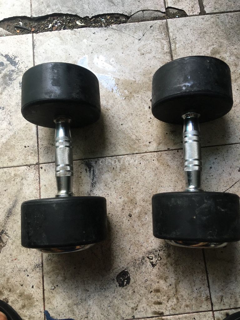 Tạ tay Elip 12.5kg. Mua bán Đồ thể thao, Dã ngoại tại Quận 5 Tp Hồ Chí Minh được đăng bởi Hải hình 1