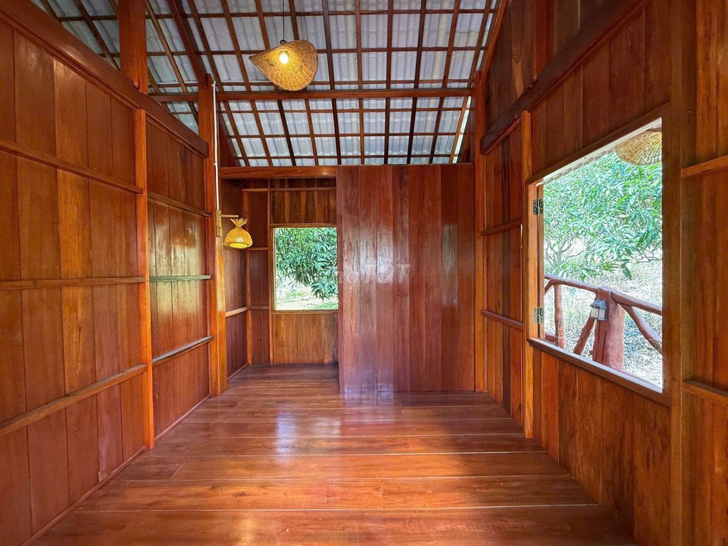 Cho thuê nhà vườn Phước Đồng 2.000m² – Giá 19 triệu/tháng