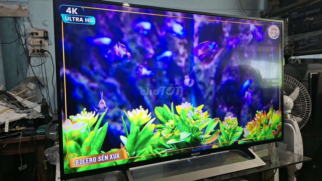 Tivi Sony 43 inch 4K Ultra HD. Mua bán Tivi, Âm thanh tại Huyện Châu Thành Tiền Giang được đăng bởi trongduy hình 1