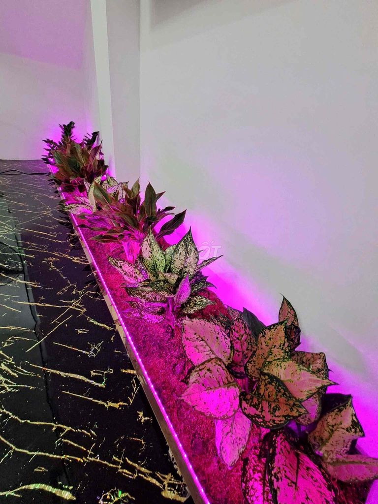 Nhà Nguyễn Văn Khối, Hẻm xe Tải Thông - Ngay Công Viên. Mua bán Nhà ở tại Quận Gò Vấp Tp Hồ Chí Minh được đăng bởi Thắng hình 10
