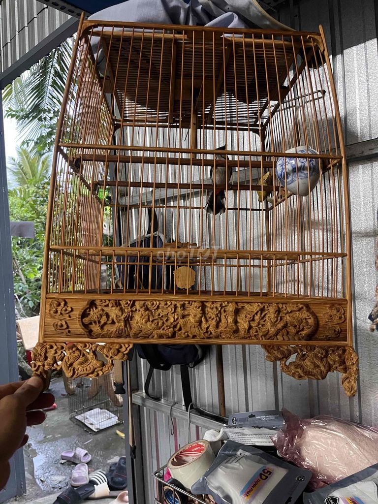 Lồng thái chạm chào mào. Mua bán Chim tại Huyện Bình Chánh Tp Hồ Chí Minh được đăng bởi Bc hình 1
