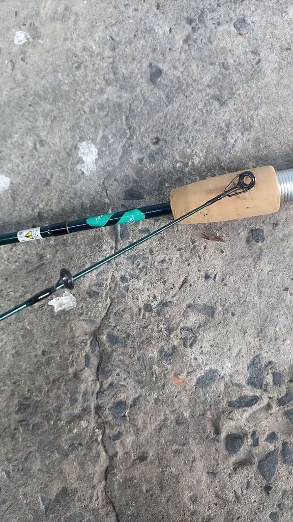 Cần lure carbon