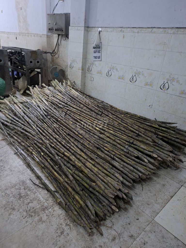 Vựa mía Q12, TP.HCM. Dịch vụ tại Quận 12 Tp Hồ Chí Minh được đăng bởi Thanh Phan hình 1