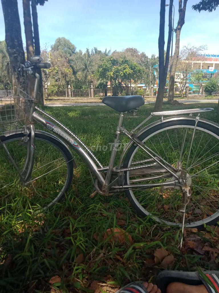 Xe đạp màu Bạc. Mua bán Xe đạp tại Thành phố Biên Hòa Đồng Nai được đăng bởi tran van tien hình 3