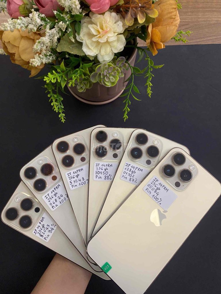 Apple iPhone 14 Pro Max 128GB Vàng Đã sử dụng. Mua bán Điện thoại tại Quận Ninh Kiều Cần Thơ được đăng bởi Mr.T Mobile hình 1