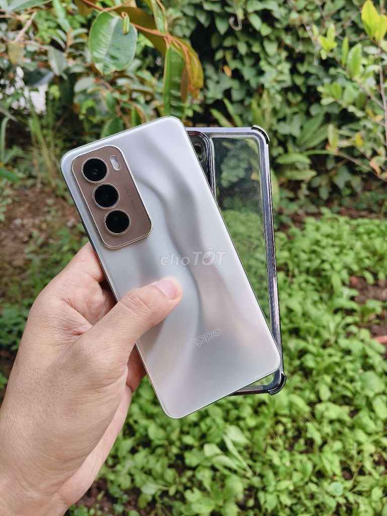 Oppo Reno 12 12/256 chụp siêu đẹp