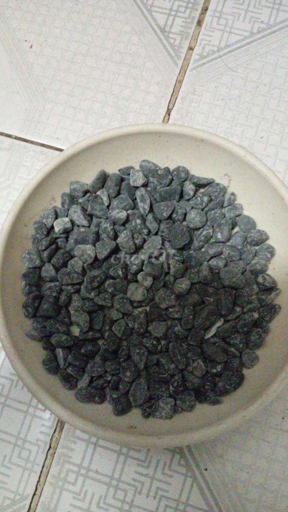 Sỏi trang trí Sỏi Xám. Mua bán Cây cảnh, đồ trang trí tại Quận Tân Phú Tp Hồ Chí Minh được đăng bởi Thien Phan hình 1