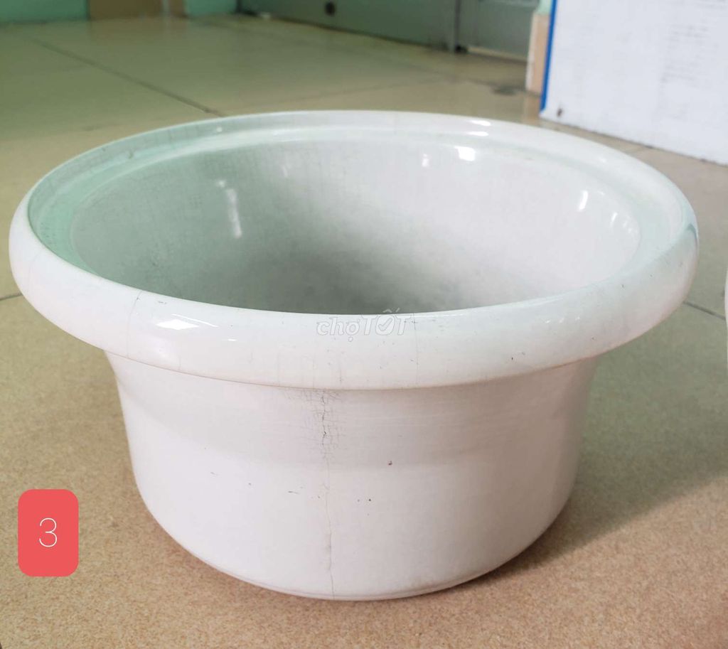 Chậu sứ trắng 23cm không lỗ thoát nước. Mua bán Cây cảnh, đồ trang trí tại Quận 3 Tp Hồ Chí Minh được đăng bởi Trân hình 1