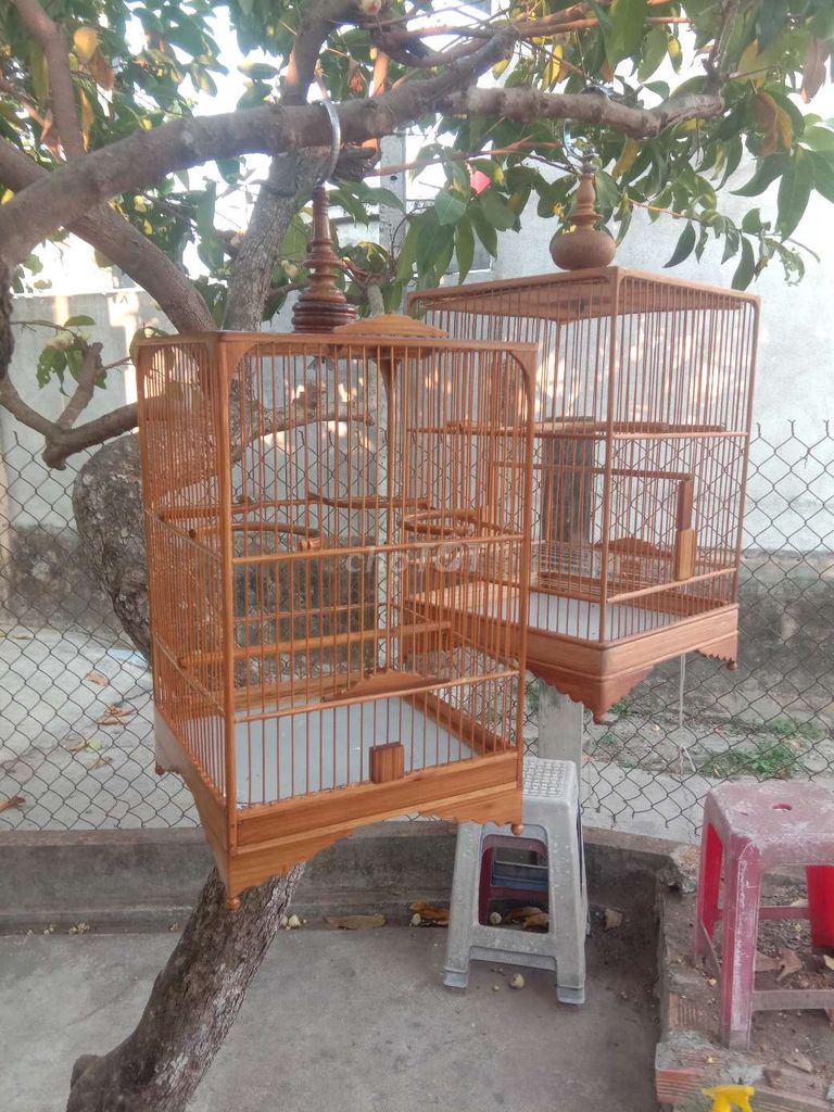 Lồng chim Gỗ tự nhiên. Mua bán Phụ kiện, Thức ăn, Dịch vụ tại Huyện Cần Đước Long An được đăng bởi Văn vũ Nguyễn hình 1