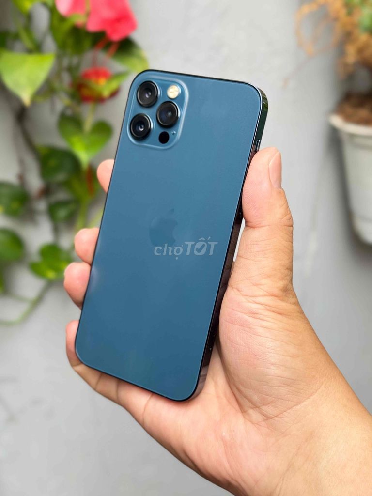 apple 12 Pro 128G zin đẹp 99% Xanh Blue QT có GL. Mua bán Điện thoại tại Quận 8 Tp Hồ Chí Minh được đăng bởi Hàng Zin Chất Giá Rẽ Có Giao Lưu   hình 1