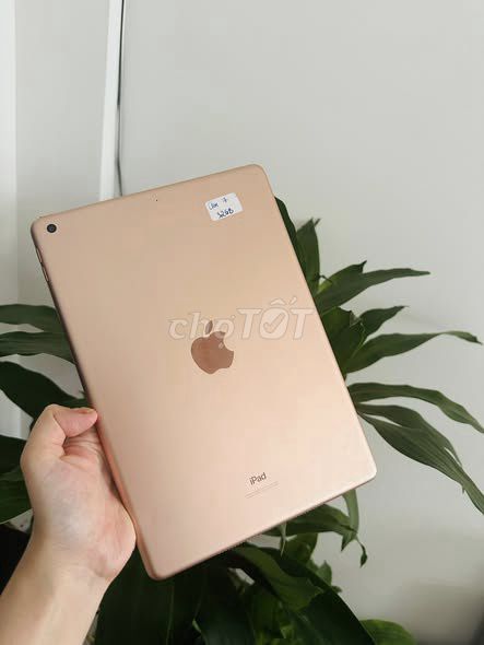 Apple iPad Gen 7 Wifi 32GB Vàng hồng. Mua bán Máy tính bảng tại Quận Bình Tân Tp Hồ Chí Minh được đăng bởi Hội Đồ Điện Tử hình 1