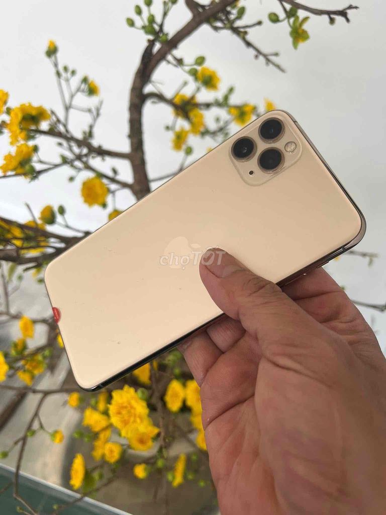 Apple iPhone 11 Pro Max 256GB Vàng. Mua bán Điện thoại tại Thành phố Buôn Ma Thuột Đắk Lắk được đăng bởi lam hieu hình 1
