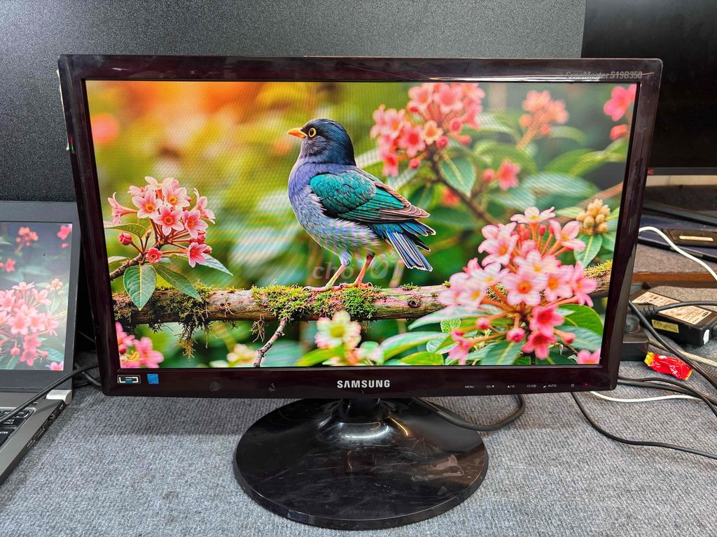 🖥️Màn hình LED Samsung 19” xài tạm vẫn quá OKE