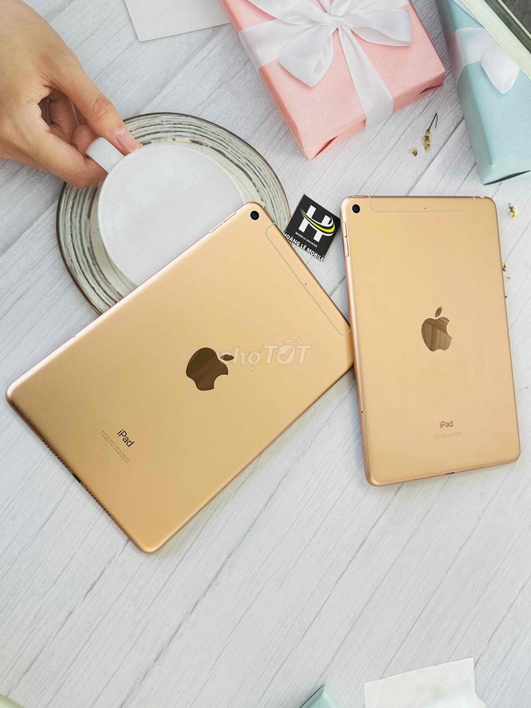 IPAD MINI 5 64G bản 4G wifi zin đẹp chất