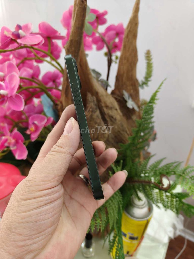 Điện thoại 256GB 13 xanh bộ đội. Mua bán Điện thoại tại Thành phố Buôn Ma Thuột Đắk Lắk được đăng bởi Tèo Điện Thoại  hình 1