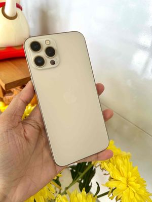 12 Promax zin đẹp full chức năng. Mua bán Điện thoại tại Thành phố Long Xuyên An Giang được đăng bởi phong LX 