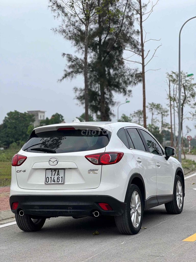Ảnh số 7