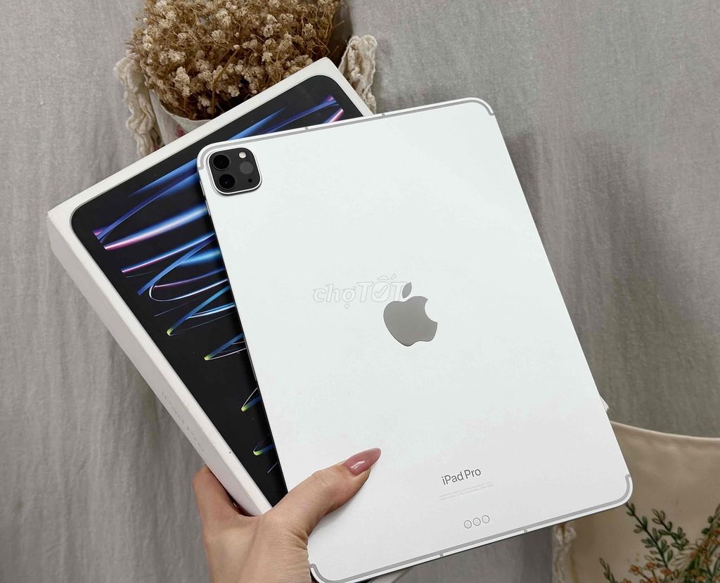 iPAD PRO M2 11” SILVER 256GB 5G PIN 100