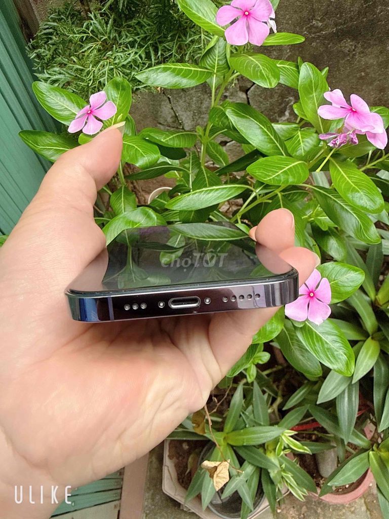 iPhone 14 Pro 1TB Tím. Mua bán Điện thoại tại Quận Hoàng Mai Hà Nội được đăng bởi Minh Hoàng hình 1