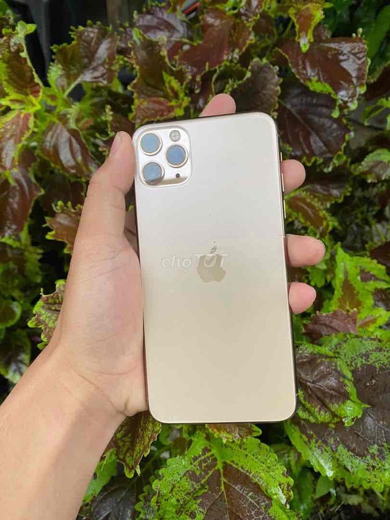 iphone 11 ProMax 256gb vàng còn BH 6th đẹp lắm lun