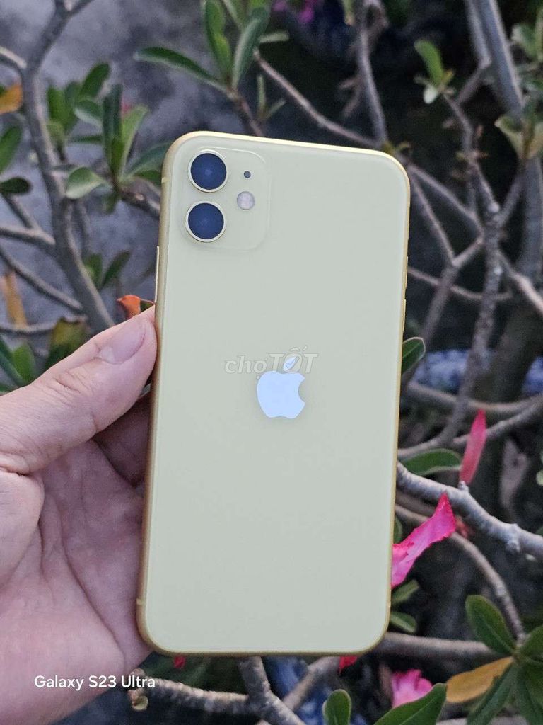 Iphone 11 màu vàng quốc tế 64G đẹp 99% BH 3 tháng.