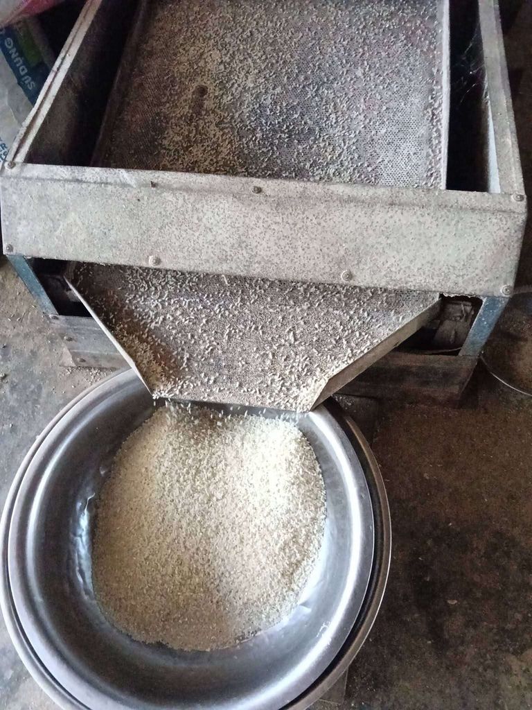 Gạo Quê Phú Ninh 10kg Mềm dẻo. Mua bán Đồ ăn, thực phẩm và các loại khác tại Quận Cẩm Lệ Đà Nẵng được đăng bởi Ny  hình 1