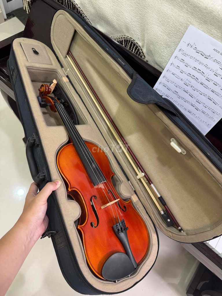 Đàn Violin Suzuki NS20 99% như mới