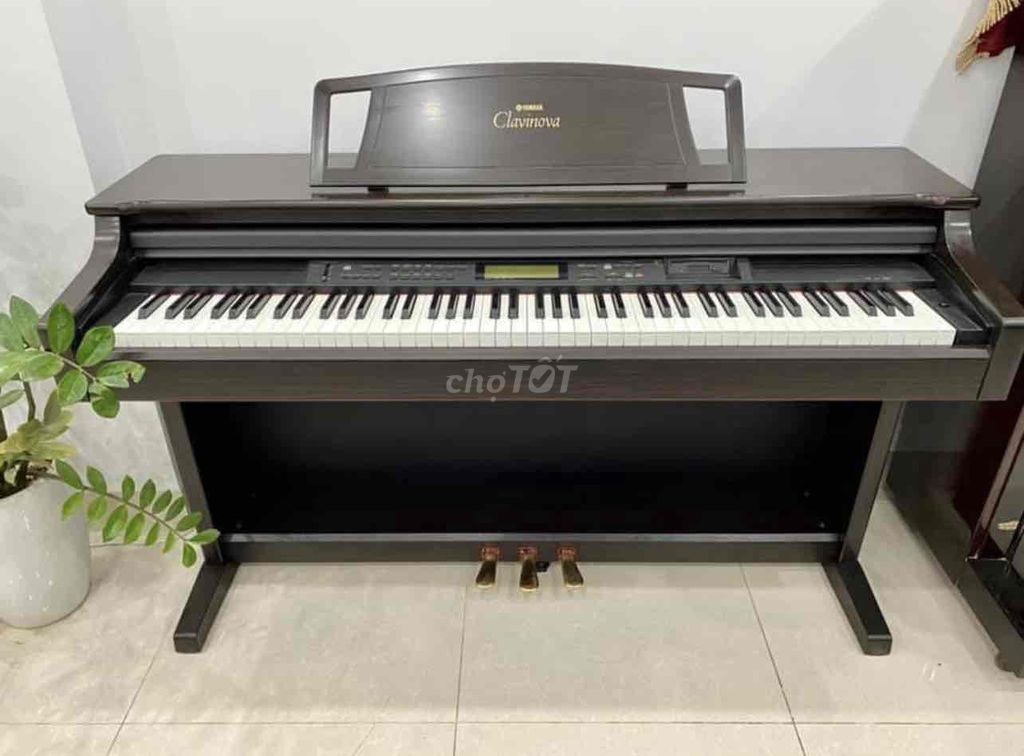 Đàn Piano Nhật Yamaha Âm Hay