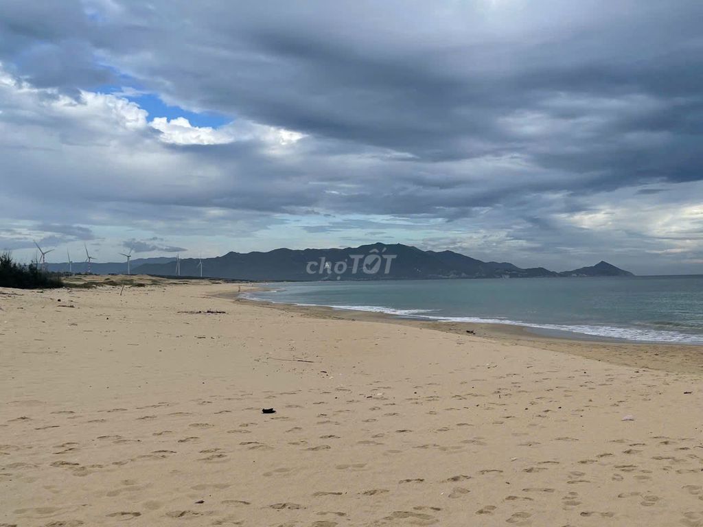 đất biển flc quy nhơn đất biển flc quy nhơn