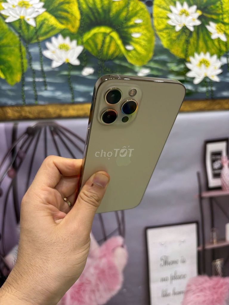iphone 12 Pro Max 256GB Vàng Full Zin. Mua bán Điện thoại tại Quận Bắc Từ Liêm Hà Nội được đăng bởi Cửa hàng Bính Táo hình 1