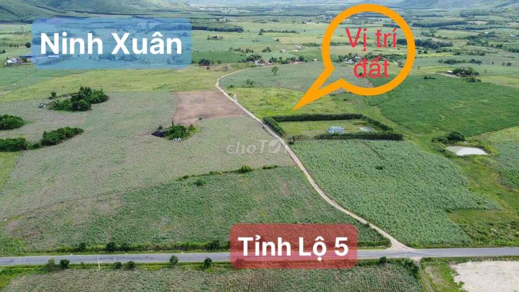 Đất vườn DT 2943m2 (32x91) qh Full thổ ngay KCN Ninh Xuân