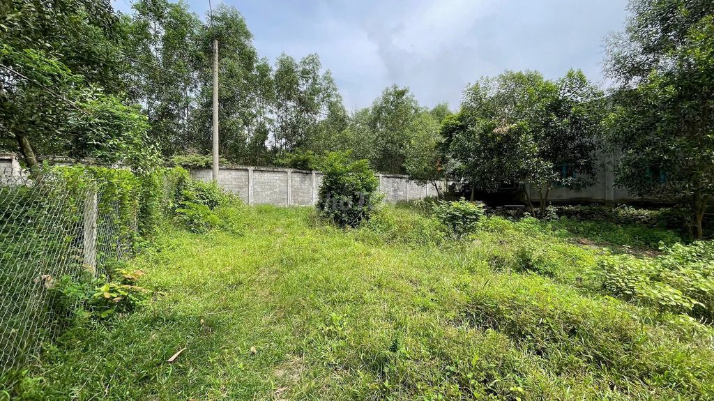 chủ gửi bán 3500m2 có 200m2 thổ cư sát bên KCN Long Đức. Mua bán đất tại Huyện Long Thành Đồng Nai được đăng bởi Minh Anh Nhiên hình 2