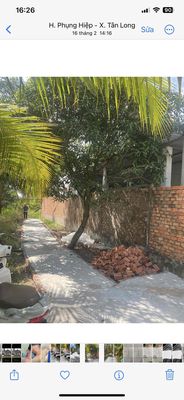ban đất vườn lo ô tô 7500m2 có 150 odt. Mua bán đất tại Huyện Phụng Hiệp Hậu Giang được đăng bởi nghiact