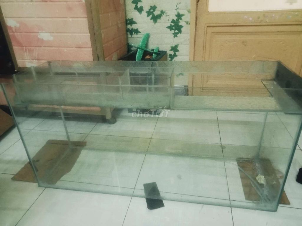 Bể cá Kính Trong suốt 100x30x50cm. Mua bán Phụ kiện, Thức ăn, Dịch vụ tại Thành phố Tây Ninh Tây Ninh được đăng bởi Hiếu David hình 1