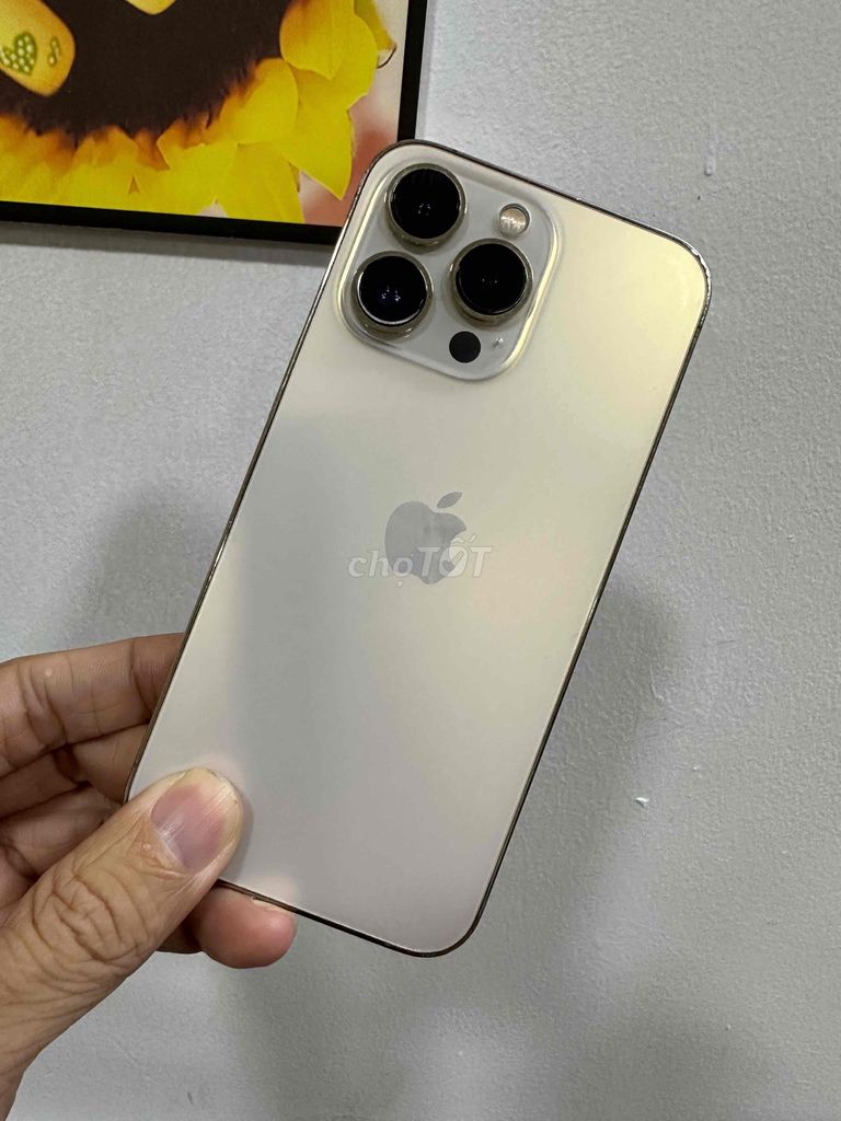 iPhone 13 Pro 128G Gold máy zin