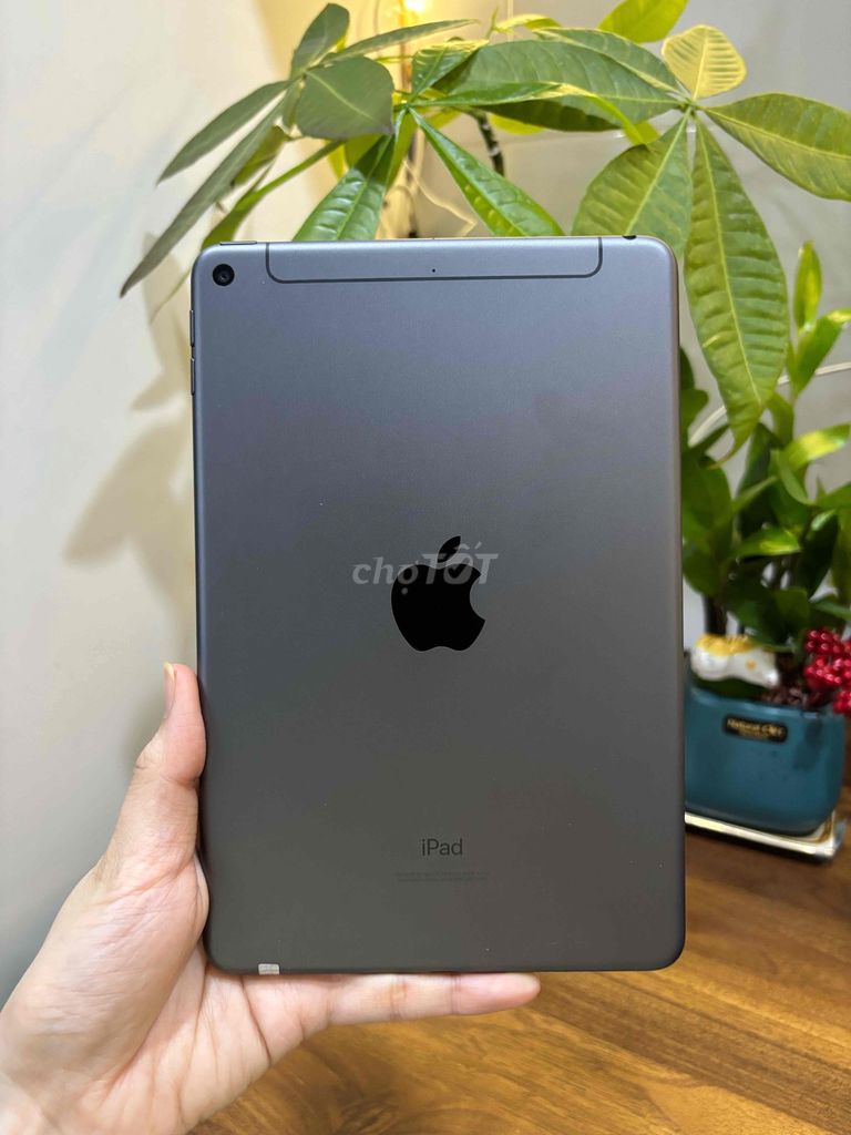 Apple iPad Mini 5 64GB 4G/WiFi Xám. Mua bán Máy tính bảng tại Huyện Hóc Môn Tp Hồ Chí Minh được đăng bởi SIRI STORE HCM hình 1