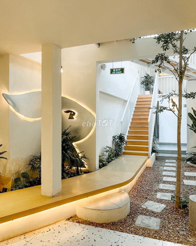 NGANG 10M - DT 700M2 – NGAY HỒ CON RÙA – VỊ TRÍ KINH DOANH THUẬN LỢI - ảnh 3