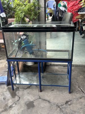Hồ cá kèm chân và máy lọc 100*45*40cm