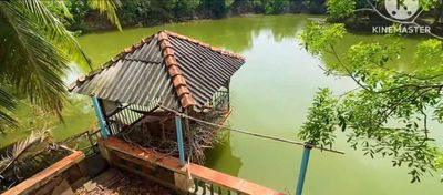 Nhà vườn ao 230x120m đường bầu tràm lớn. Mua bán nhà ở tại Huyện Bến Cầu Tây Ninh được đăng bởi Dương