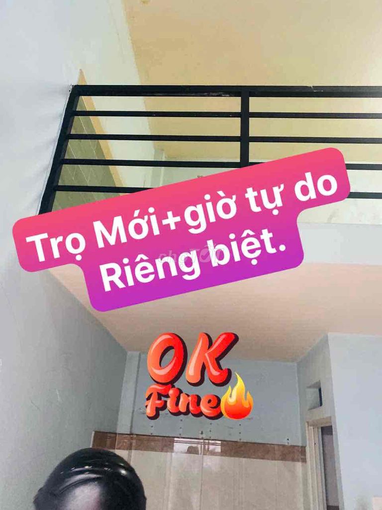 [NHÀ TRỌ MỚI Ở NGAY]💢 Trọ Hẻm Lê Đình Cẩn💢 Giá 2tr(gồm 1trệt+1gác đúc)