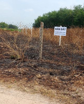 Đất đẹp gần khu dân cư,sạch sẽ thoáng mát. Mua bán đất tại Thành phố Tây Ninh Tây Ninh được đăng bởi Nguyễn Anh Nam
