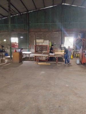 CÔNG TY GỖ MINH TÂM TUYỂN 20 LDPT NAM / NỮ