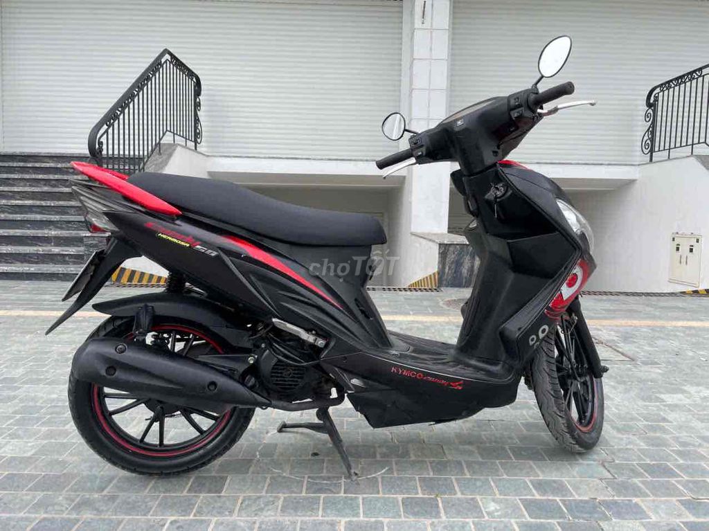 Chào bán candy hermusa 50cc