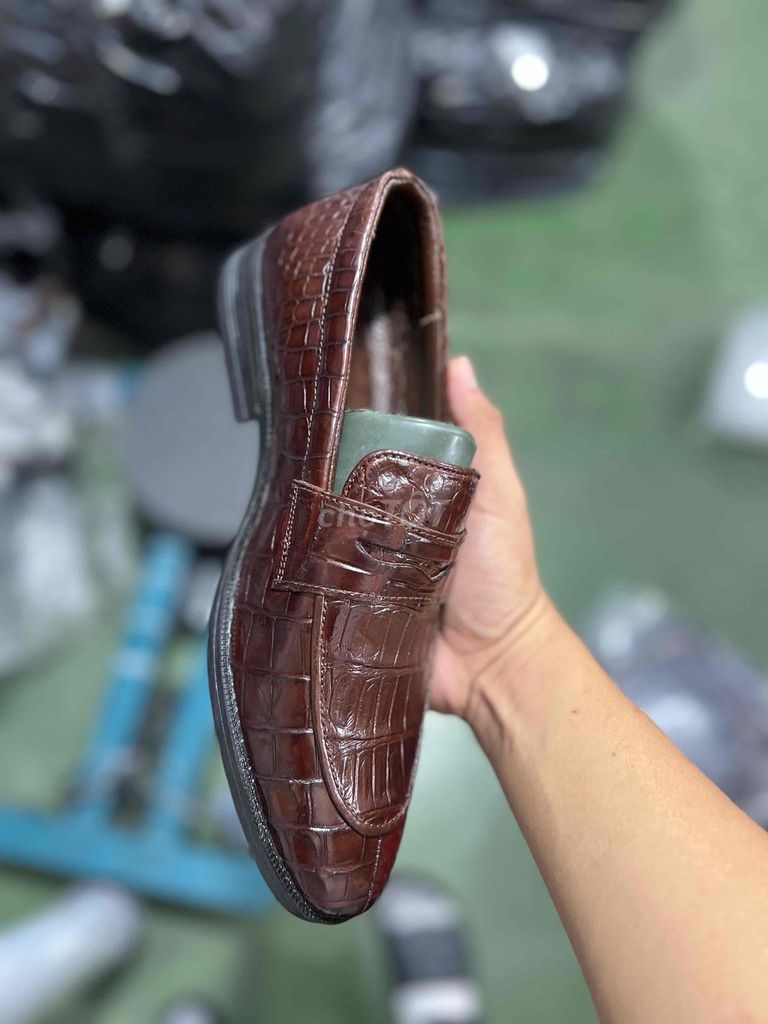 Giày da cá sấu CROCE – Da thật 100% – Form sang tr. Mua bán Giày dép tại Quận Tân Bình Tp Hồ Chí Minh được đăng bởi Hải Rey  hình 1