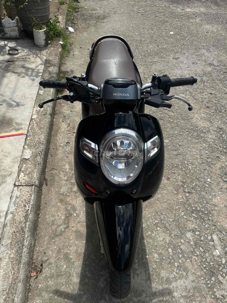 scoopy bỏ mẫu
