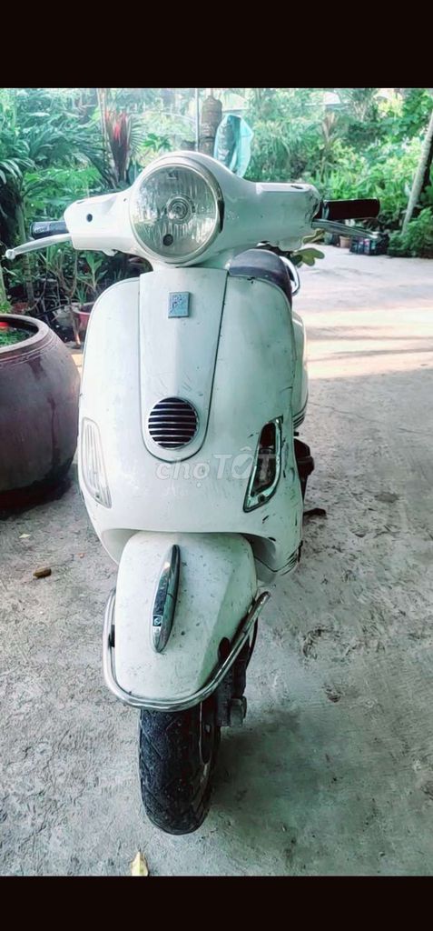 Vespa primavera