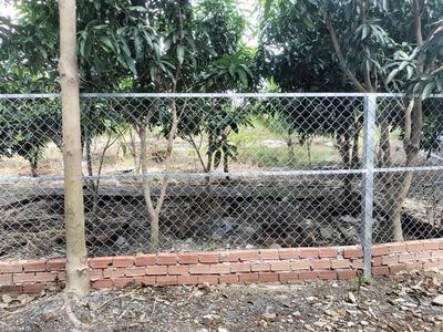 CHO THUE NHÀ VÀ ĐẤT 2500M NONG NGHIEP