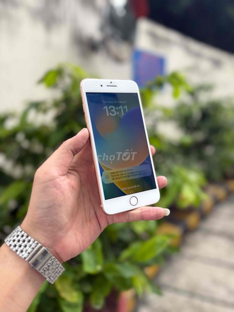 Apple iPhone 8 Plus 64GB Vàng Đã sử dụng. Mua bán Điện thoại tại Thành phố Vũng Tàu Bà Rịa - Vũng Tàu được đăng bởi BINHHYK  hình 1