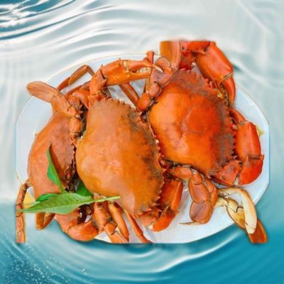 cua gạch đầm ô Loan phú yên. Mua bán Đồ ăn, thực phẩm và các loại khác tại Thành phố Thủ Đức Tp Hồ Chí Minh được đăng bởi Nam Ca 