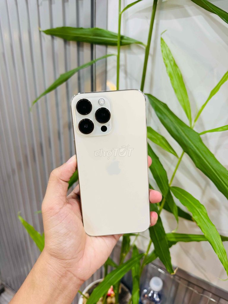 iPhone 14 Pro Max 256G Quốc Tế Full. Mua bán Điện thoại tại Quận Thanh Khê Đà Nẵng được đăng bởi Ri Phone hình 1